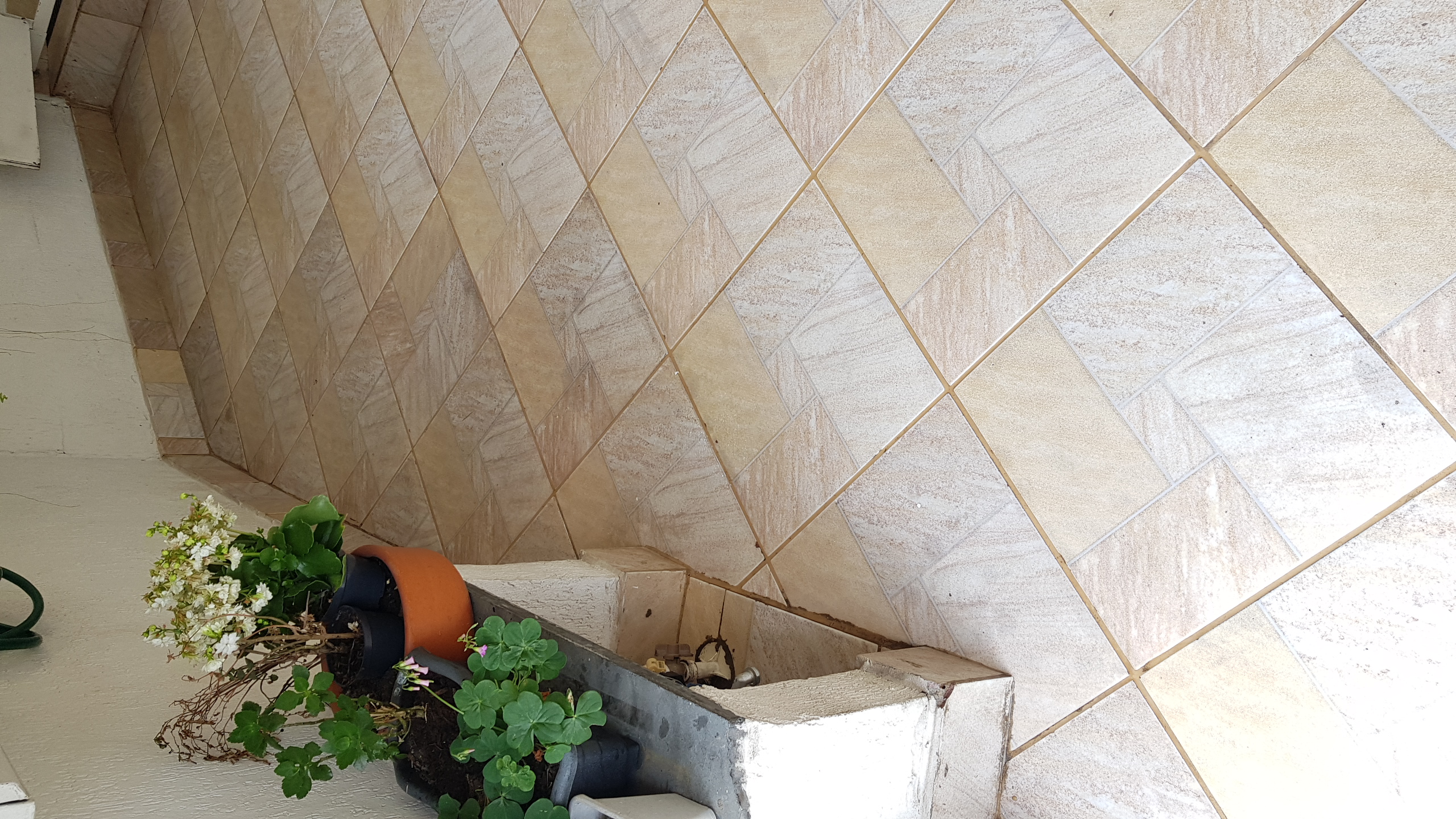 Depois esquerda .jpg